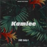 Kamlee Lyrics Meaning in Hindi