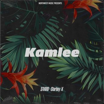 Kamlee Lyrics Meaning in Hindi
